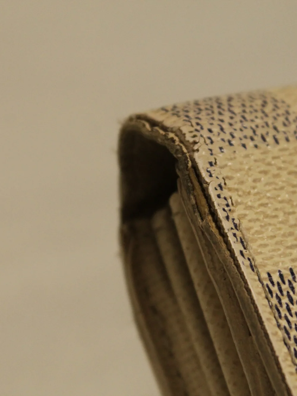 Louis Vuitton elegant louis